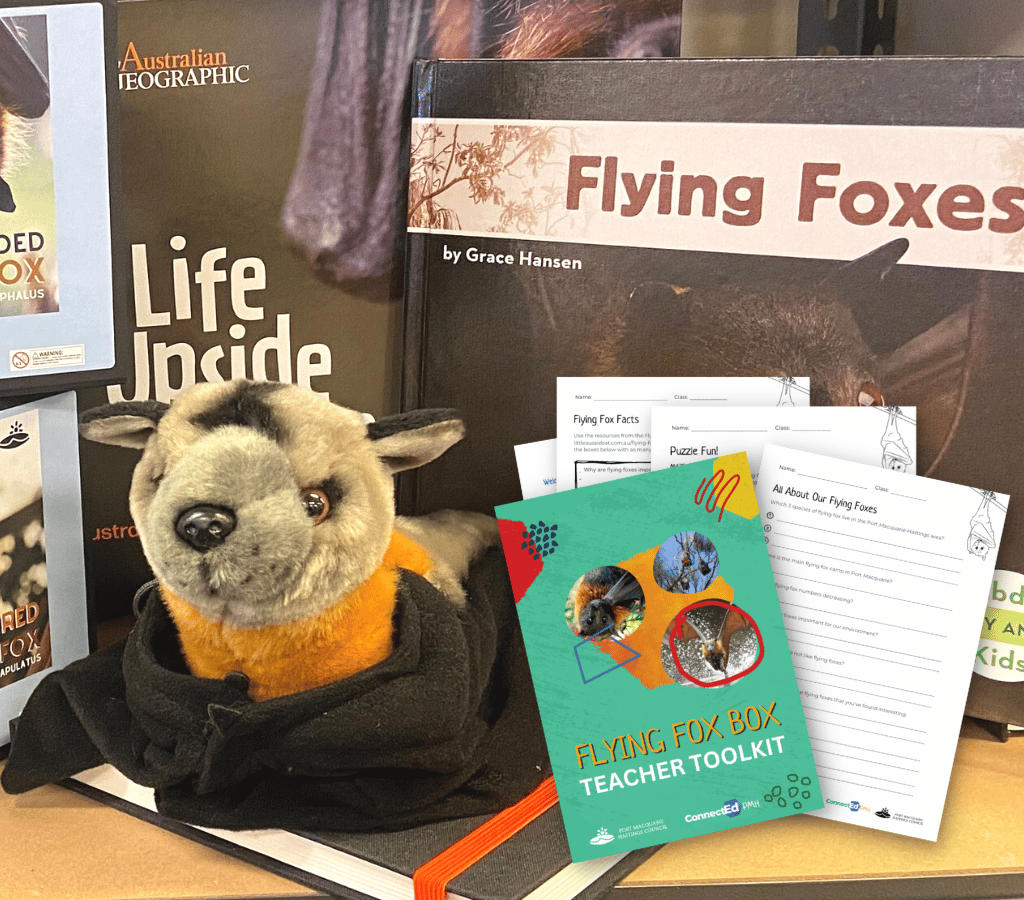 flying fox plush toy, books about flying foxes and images of flying fox related student worksheets