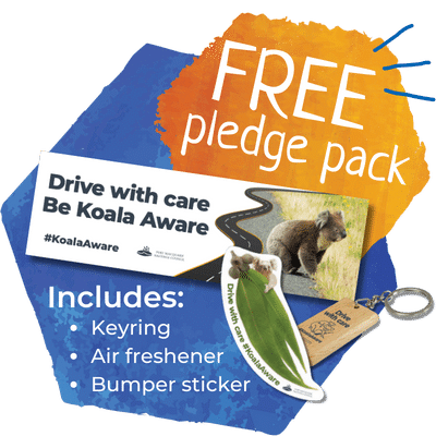 mock up of pledge pack inclusions showing a bumper sticker, air freshener and keyring received if taking the pledge