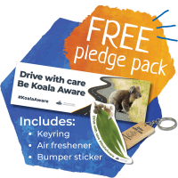 mock up of pledge pack inclusions showing a bumper sticker, air freshener and keyring received if taking the pledge